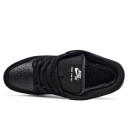 Nike SB Dunk Low Black White Gum С МЕХОМ