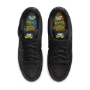 Nike SB Dunk Low Civilist CZ5123-001