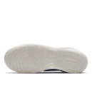 Nike Dunk Low College Navy Grey DD1768-400